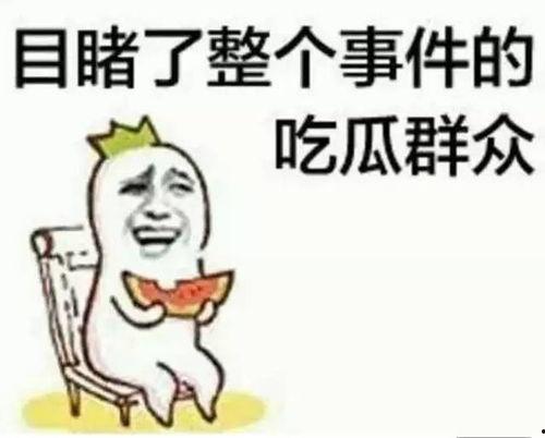 何一婷吃瓜,揭秘娱乐圈幕后真相