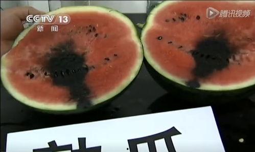 吃瓜吃虫子的视频,揭秘吃瓜吃虫子的另类美食体验