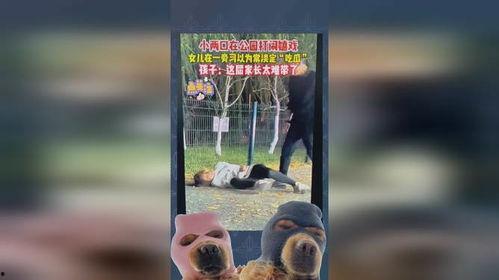 嬉戏吃瓜,瓜田里的人生百态