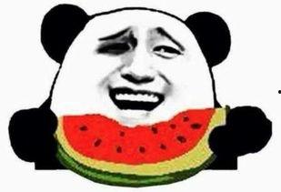 吃瓜群众长发视频,一场视觉盛宴与情感共鸣的碰撞