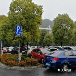 德清停车场吃瓜,一场意外的全民围观