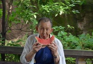 医生不让吃半个瓜,半个瓜都别吃,健康隐患不容忽视