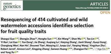 吃瓜论文下载,揭秘网络舆论背后的真相与影响