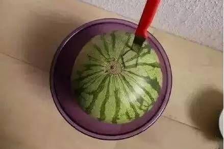 奇葩吃瓜比赛盘点,盘点那些让人捧腹大笑的奇葩吃瓜比赛瞬间