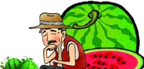 微公益吃瓜大赛,趣味公益,瓜香四溢的爱心盛宴