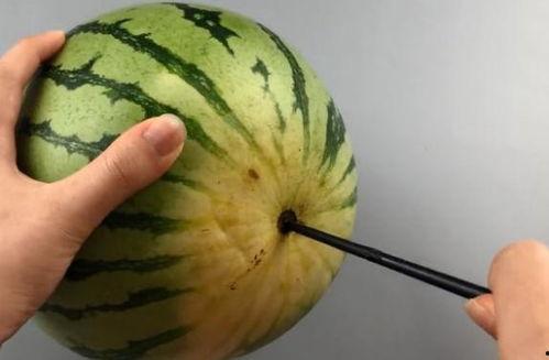 吃瓜筷子,揭秘美食背后的文化韵味