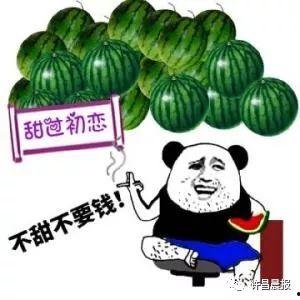 哥哥给我买瓜吃,夏日炎炎,甜蜜瓜果相伴