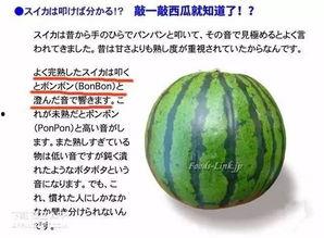 吃瓜沈腾王牌,王牌喜剧明星的爆笑人生