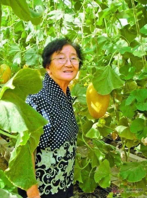叶宇吃瓜